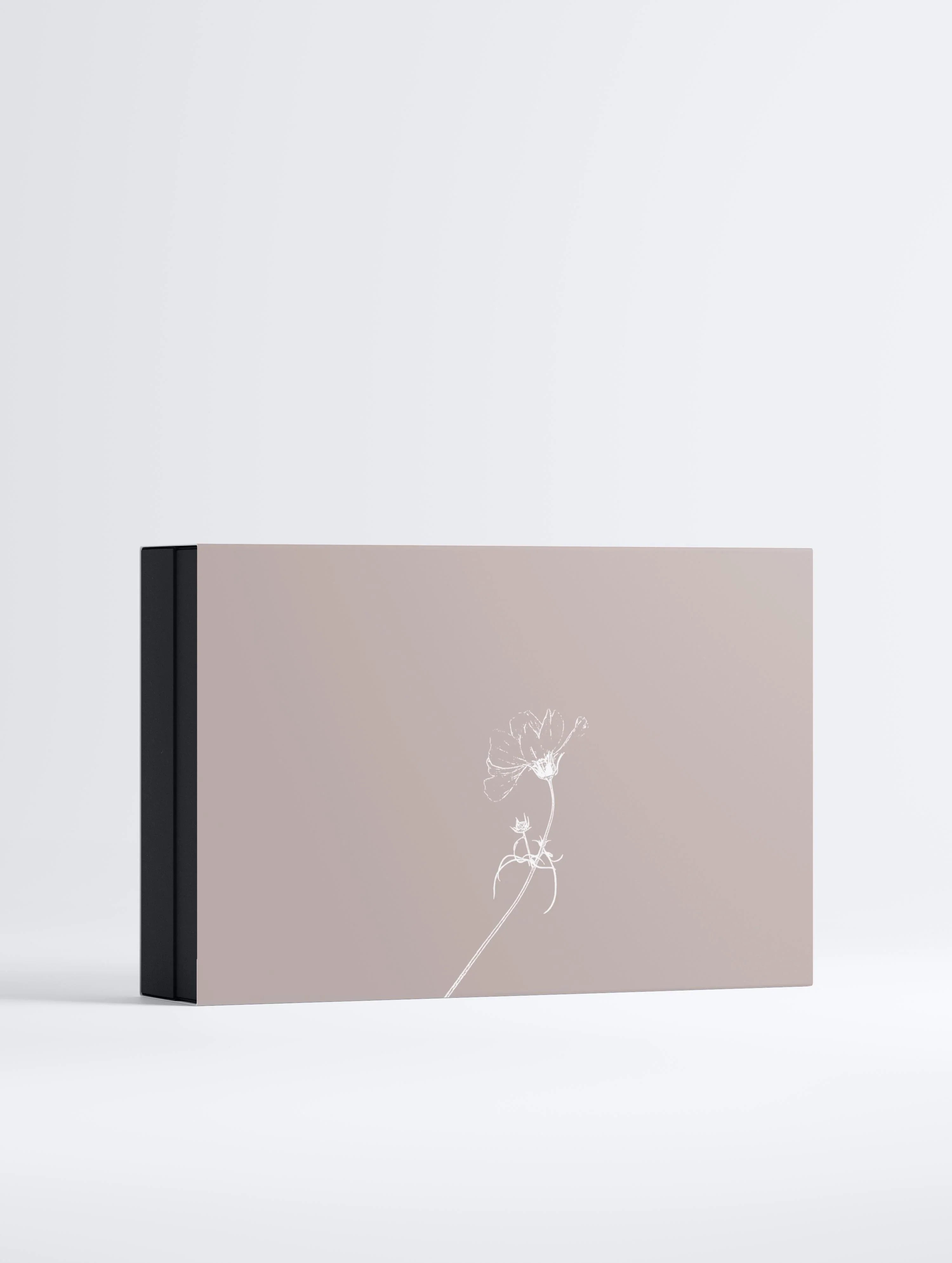 Die ultimative Renewal Collection Box