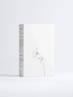 Clear Complexion Sammelbox