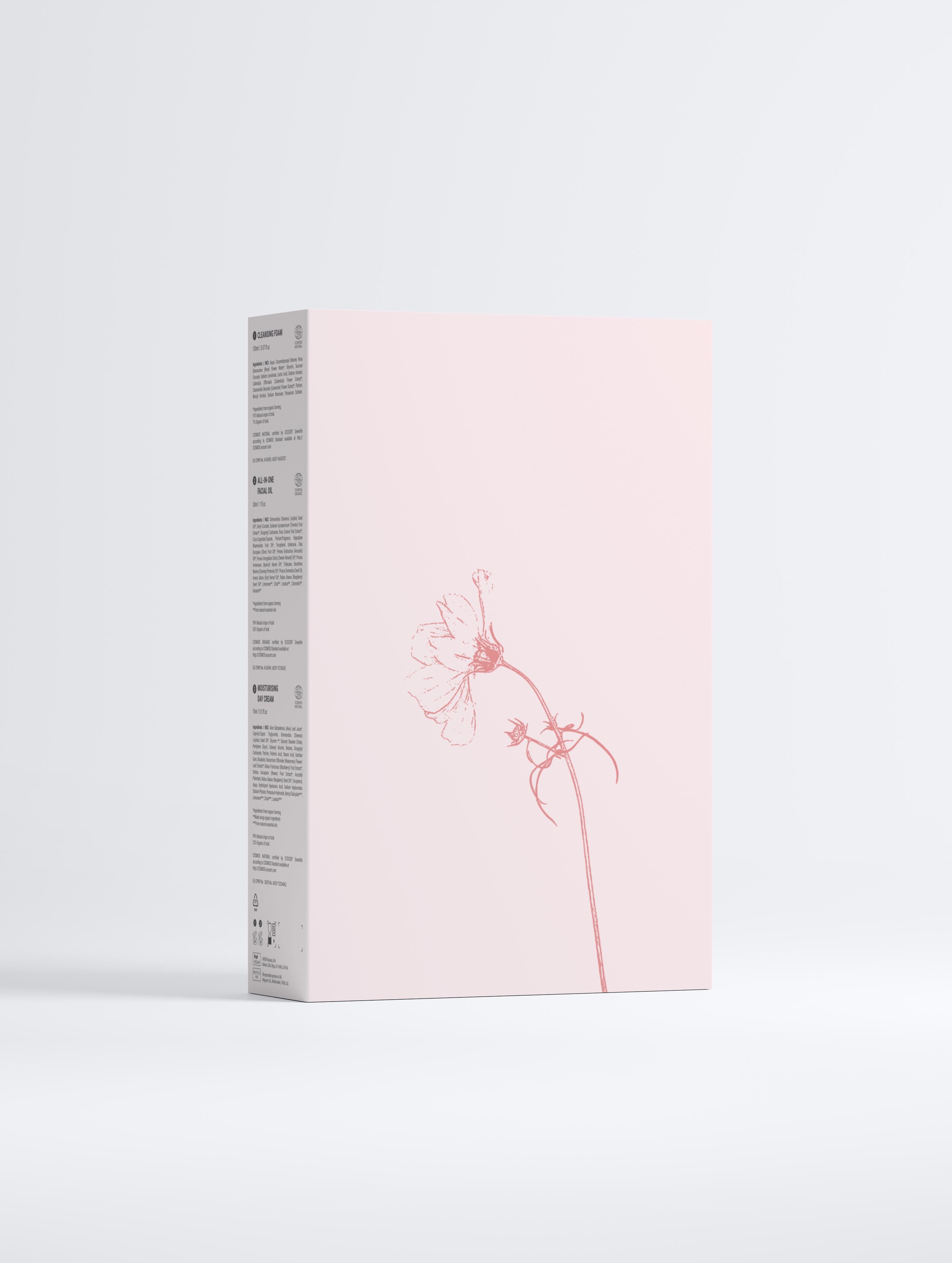 Daily Radiance Sammelbox